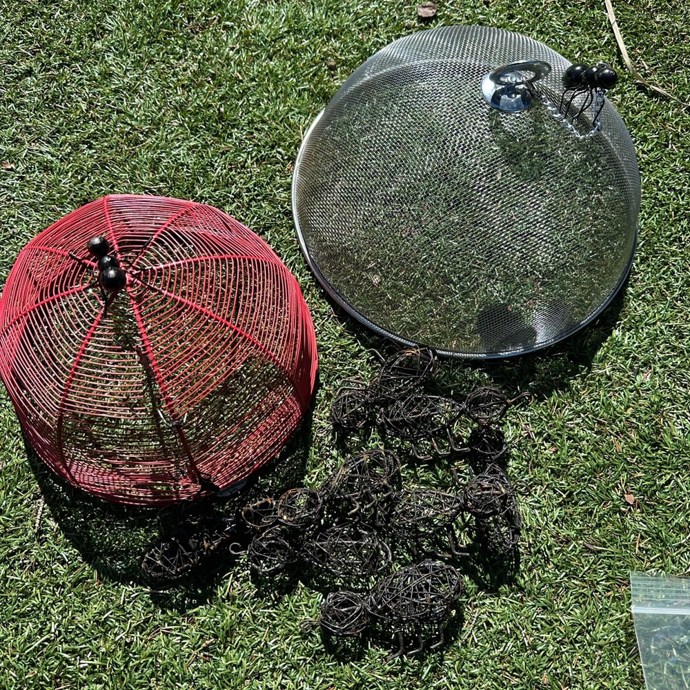 2 picnic food covers & 8 ants!
